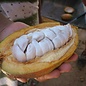 - 68% COCOA dunkle Schokolade mit Kakaonibs, 85g
