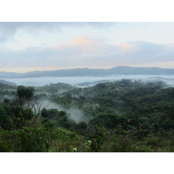 - Edle Herkunftsschokolade aus der Dominikanischen Republik mit 57 % Kakaoanteil, verfeinert mit gerösteten Macadamianüssen und einer feinen Prise Meersalz