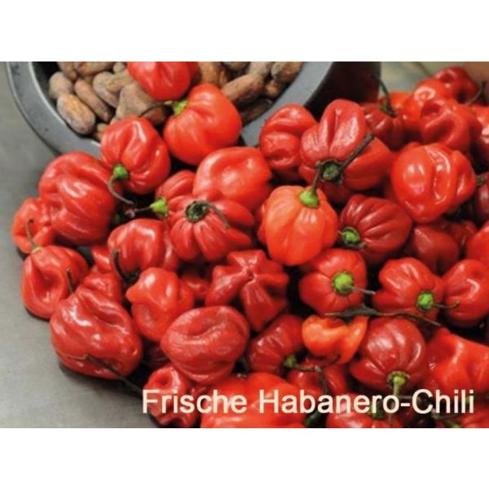 -  Chili Extra-Scharf Zartbitterschokolade, Bio, 75g