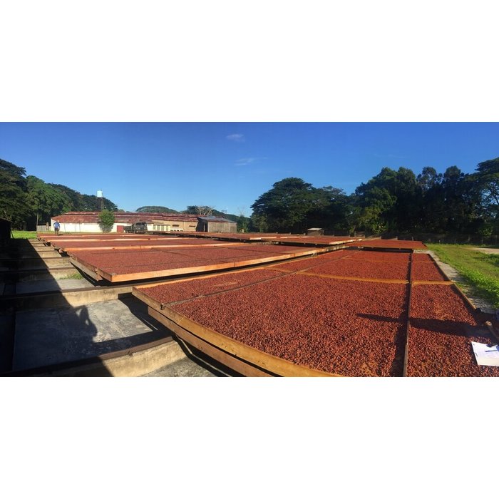 - 100% Dunkler Edel Kakao Schokolade | Chocolaterie Robert Malagasy, 75g GOLD SIEGER - Academy of Chocolate 2020