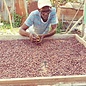 - Dunkle Schokolade mit jamaikanischem Rum 65%,  60g