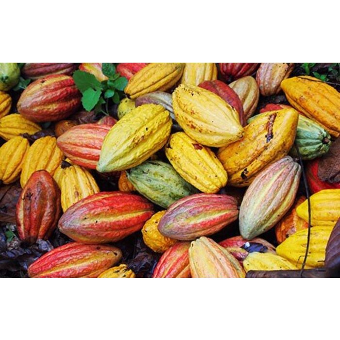 - 100% Trinkschokolade aus Kolumbien, 200g