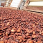- Weiss mit Banane, Kochbane und Süßkartoffel, 60g