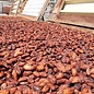 - Dunkle Schokolade 70% mit Zimt, 60g