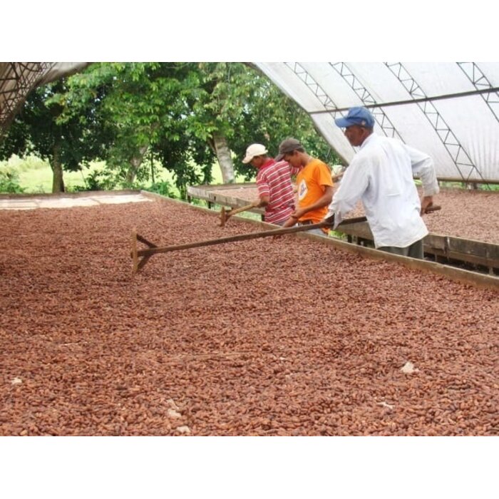 - Auserlesene Dunkelschokolade mit 80 % Kakaoanteil aus der Herkunft Öko-Caribe – intensives Aroma mit Jasmin, Kamille & Zitrone