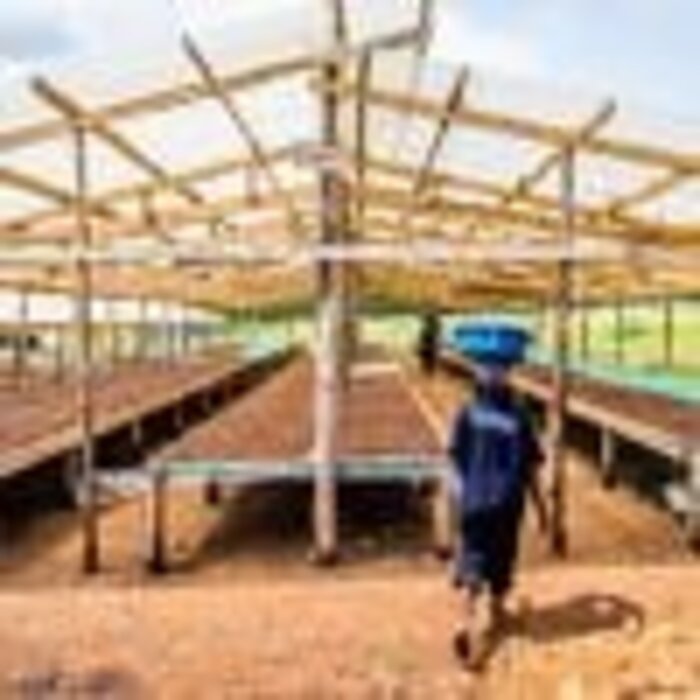 - Herkunftsschokolade aus Uganda mit 64 % Kakaoanteil – Schokolade der Marke Latitude mit fruchtigem Charakter