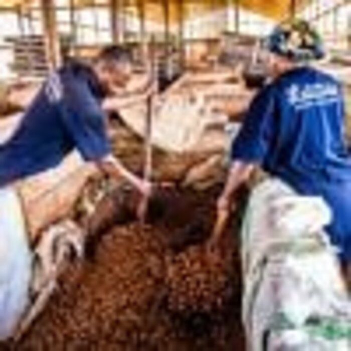 - Herkunftsschokolade aus Uganda mit 64 % Kakaoanteil – Schokolade der Marke Latitude mit fruchtigem Charakter