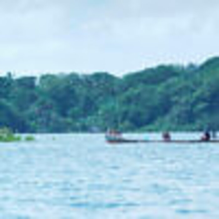 - Brasilien Acará River 81 % – Wild-Cacao Bean-to-Bar Schokolade aus dem Amazonasgebiet