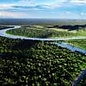 - Brasilien Acará River 81 % – Wild-Cacao Bean-to-Bar Schokolade aus dem Amazonasgebiet