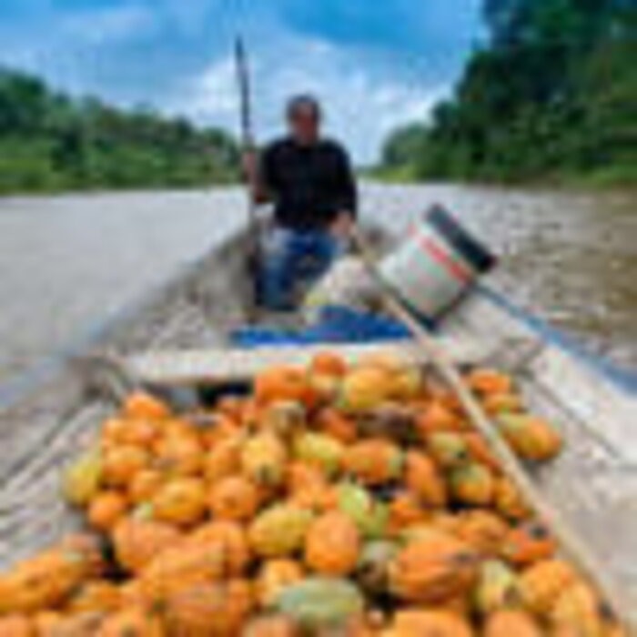 - Premium Herkunftsschokolade aus Brasilien – „Purus River“ von Luisa Abram mit 70 % Kakaoanteil