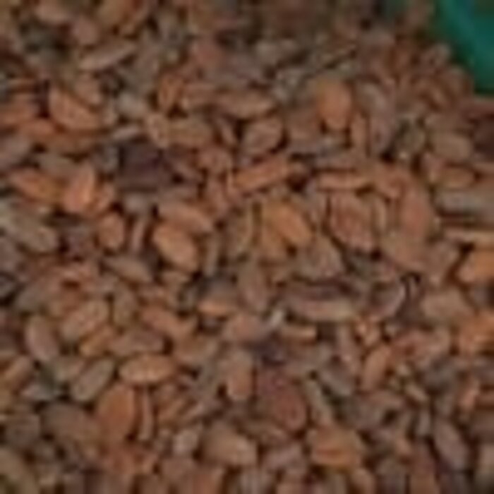 - Philippinen – Dunkle Schokolade 65 % mit schwarzem Sesam, Cashew- und Pili-Nüssen