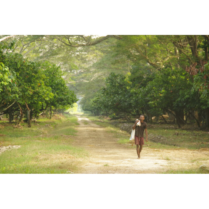 - Madagaskar Herkunftsschokolade – Chocolat Madagascar Domaine Mava mit 100 % Kakao