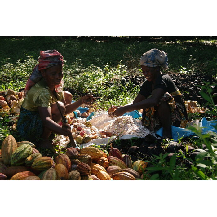 - Madagaskar Herkunftsschokolade – Chocolat Madagascar Domaine Mava mit 100 % Kakao