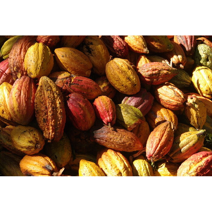 - Madagaskar Herkunftsschokolade – Chocolat Madagascar Domaine Mava mit 100 % Kakao