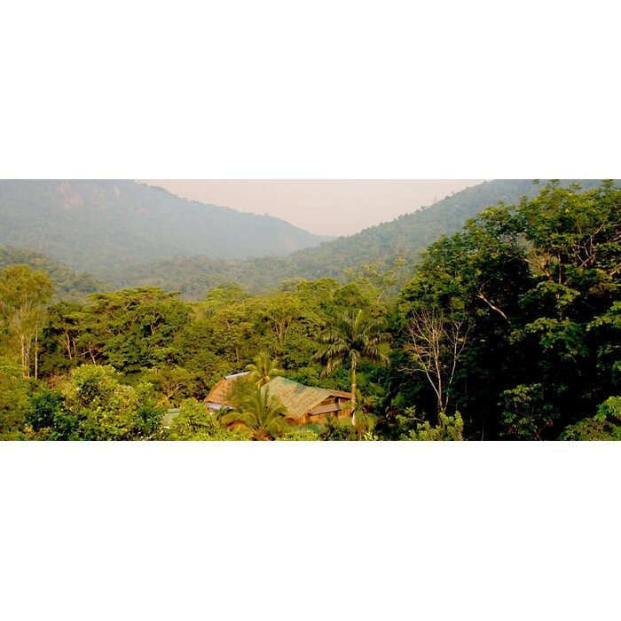 - Honduras Herkunftsschokolade – Georgia Ramon BIO mit 70 % Kakaoanteil