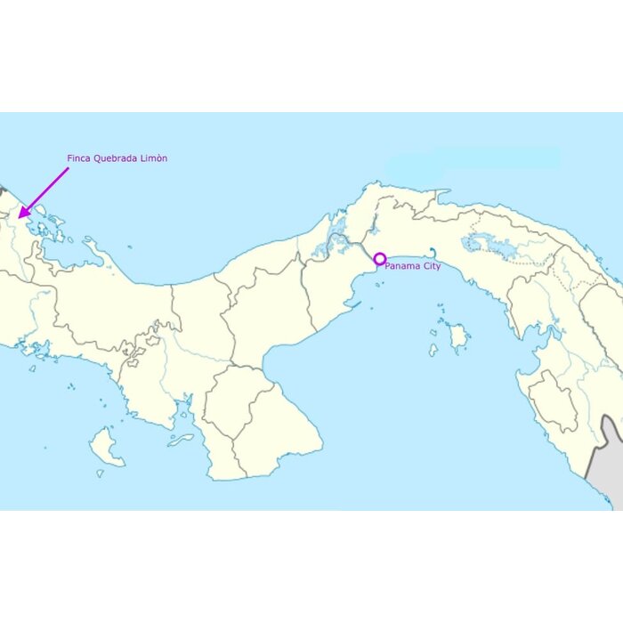- Herkunftsschokolade Panama – Georgia Ramon BIO mit 72 % Kakaoanteil