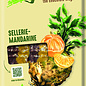 - Vegilate Sellerie & Mandarine vegan – deutsche Kakaobutter-Tafel mit Sellerie & spritziger Mandarine