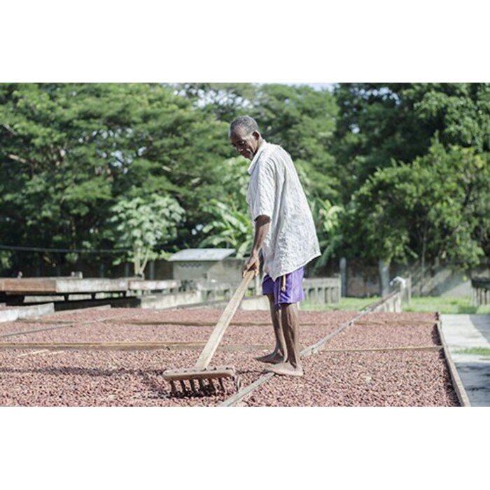 - 40% COCOA Vegan Milchschokolade "Cashew" | Chocolaterie Robert Malagasy, 85g MHD18/07/26