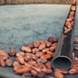- Cocoa Nibs & Madagascan Sea Salt – Edelbitterschokolade 63 % mit Kakaonibs und Meersalz aus Madagaskar, 75 g