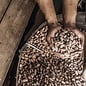 - Cocoa Nibs & Madagascan Sea Salt – Edelbitterschokolade 63 % mit Kakaonibs und Meersalz aus Madagaskar, 75 g