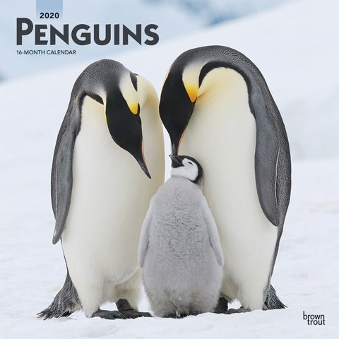 Pinguine Kalender 2020