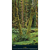 Beautiful World National Geographic Slim Posterkalender 2020