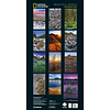 Beautiful World National Geographic Slimline Posterkalender 2020