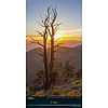 Beautiful World National Geographic Slimline Posterkalender 2020