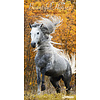 Paarden - Beautiful Horses Slimline Posterkalender 2020