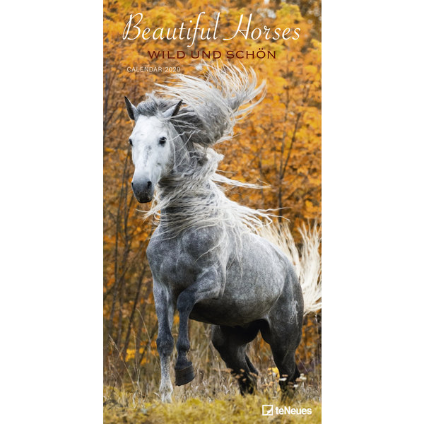teNeues Paarden - Beautiful Horses Slimline Posterkalender 2020