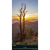 Spectacular Nature National Geographic Slim Posterkalender 2020