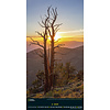 Spectacular Nature National Geographic Slimline Posterkalender 2020