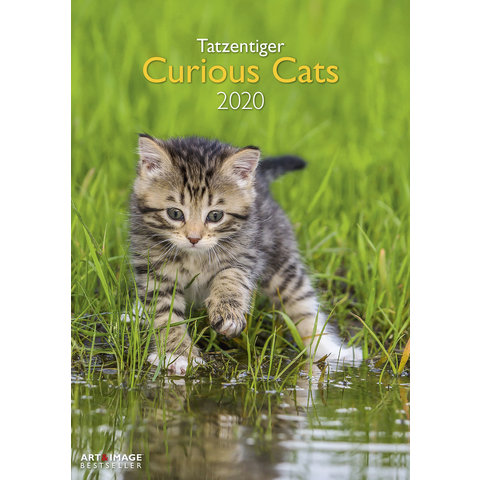 Curious Cats A3 Kalender 2020