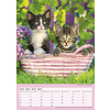 Katten - Curious Cats A3 Kalender 2020