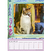 Katten - Curious Cats A3 Kalender 2020
