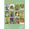 Katten - Curious Cats A3 Kalender 2020