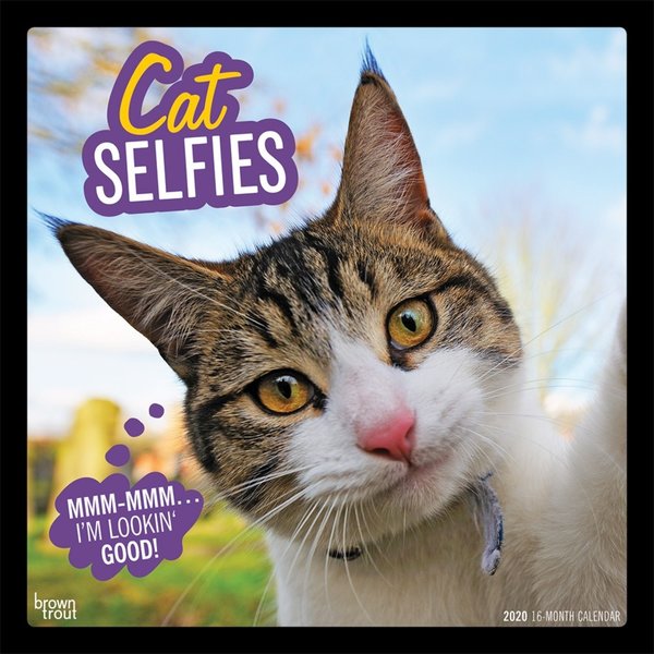 Browntrout Cat Selfies Kalender 2020