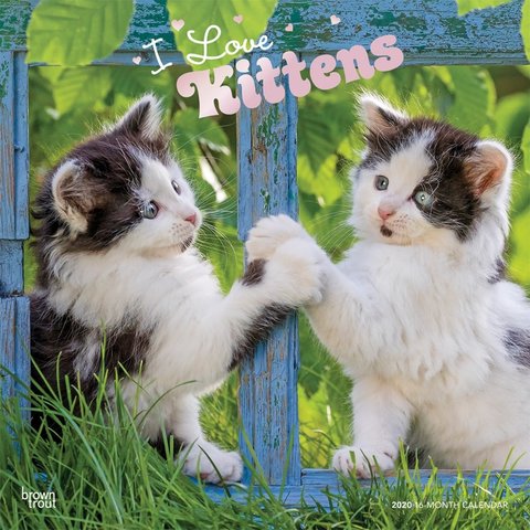 I love Kittens - Ich liebe Kätzchen Kalender 2020