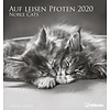 Katten - Noble Cats 45x48 Kalender 2020