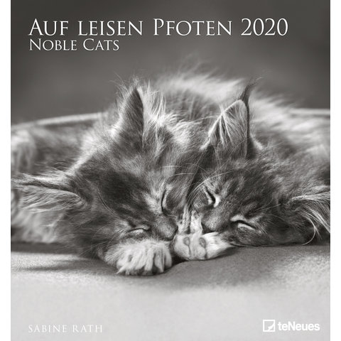 Noble Cats 45x48 Kalender 2020