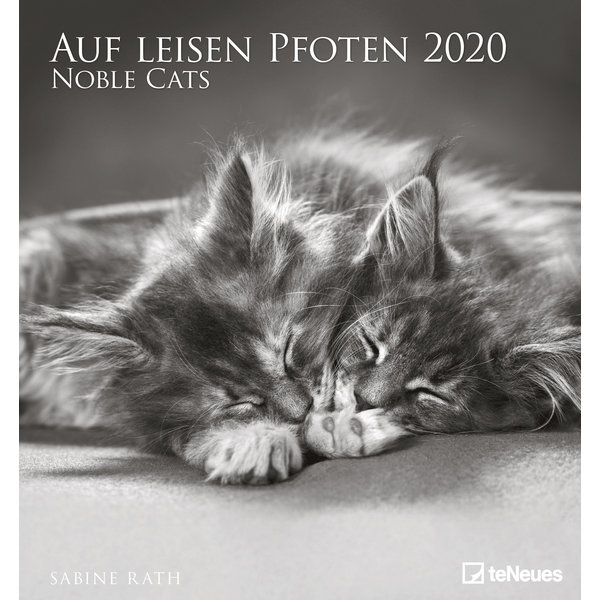 teNeues Katten - Noble Cats 45x48 Kalender 2020