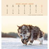 Katten Postcard Kalender 2020