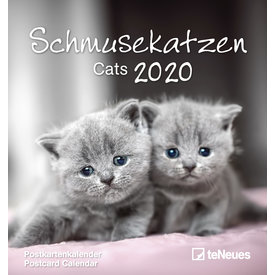 teNeues Katten Postcard Kalender 2020