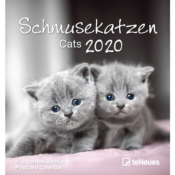 teNeues Schmusekatzen Postkartenkalender 2020