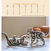 Katten Postcard Kalender 2020