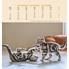 Schmusekatzen Postkartenkalender 2020