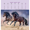 Paarden - Horses Postcard Kalender 2020