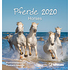 Paarden - Horses Postcard Kalender 2020