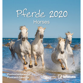 teNeues Pferde Postkartenkalender 2020