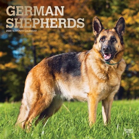 Deutsche Schäferhunde Kalender 2020